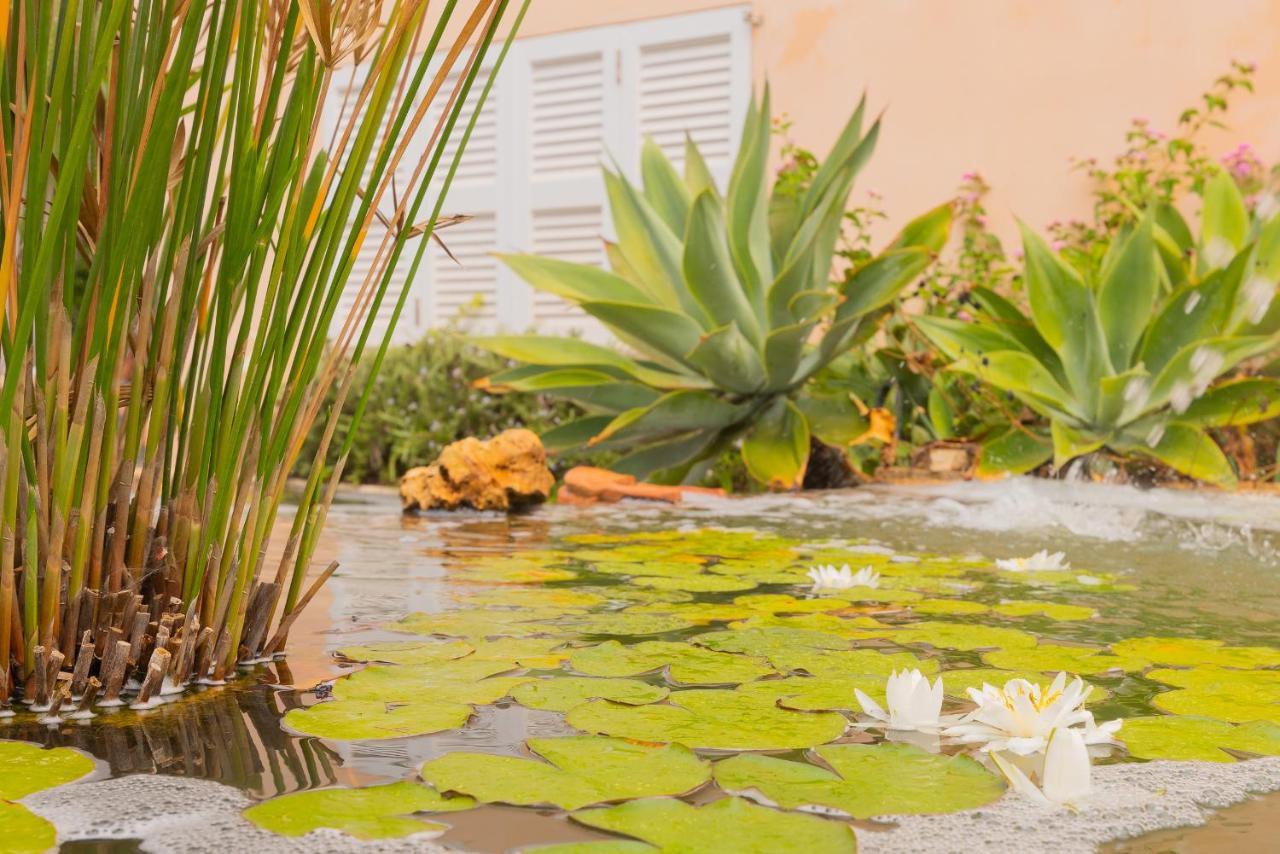 Dolce Holiday home Portocolom (Mallorca)